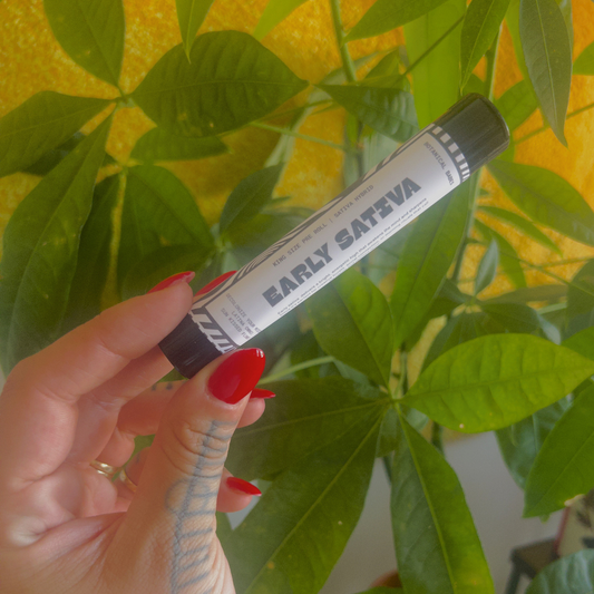 Early Sativa Preroll