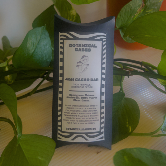 4 Gram Cacao Bar & Mushroom