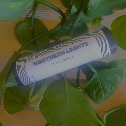 Northern Lights 5 pack